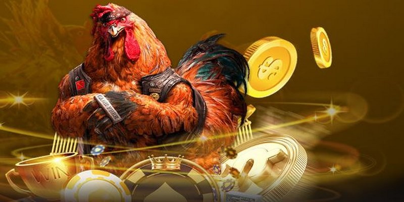 Nhiều ưu điểm tạo sức hút của cá cược đá gà 98Win