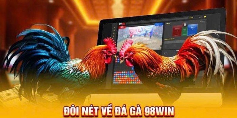 Kèo đá gà online được cung cấp đa dạng tại nhà cái 98Win