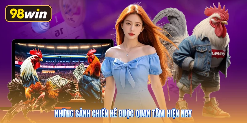 Những sảnh chiến kê được quan tâm hiện nay